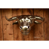 bull head cowboy  symbol texas forged